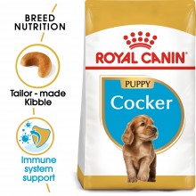 Royal Canin Breed Health Nutrition Cocker Junior 3 Kg