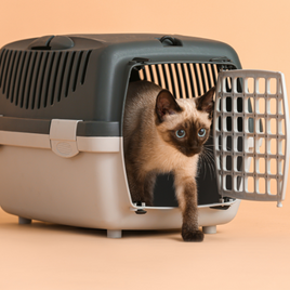 Cat carriers