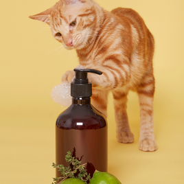 Cat Shampoo