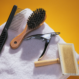Dog Grooming Accessories