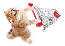 All Cat Products