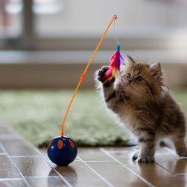 Cat Toys
