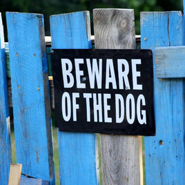 Dog Accessories