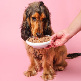 Wet Dog Food