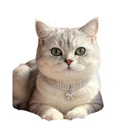 Rhinestone Cat Collar - 30cm