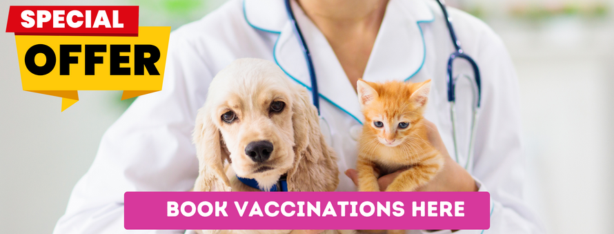 Paws Relax Pet Food Online Pet Shop near me Online Pet Shop