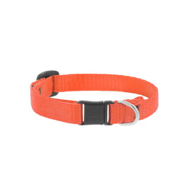 Basic Solids Safety Cat Collar - Orange