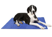 Scruffs Cool Mat - XLarge