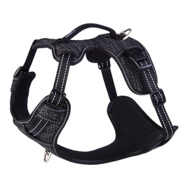 ROGZ EXPLORE HARNESS - S-DAYGLO