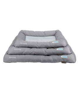 Scruffs Cool Dog Bed - MEDIUM-NA