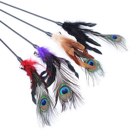 Interactive Cat Teaser Toy Peacock Small