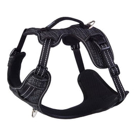 Rogz Explore Harness