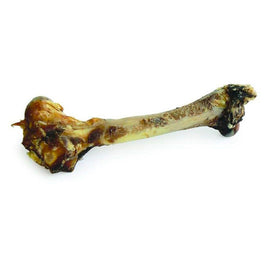 Zeal Dried Whole Venison Shank-700Grfull Bone
