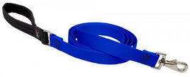 4' Everyday Leash - Blue