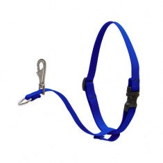 No Pull Harness Blue