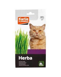 Flamingo Cat Grass