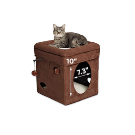 Midwest Curious Cat Cube