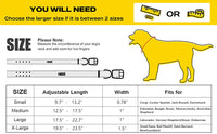 Fida Heavy Duty Dog Collar – Yellow