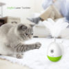 PetGeek Laser Chaser