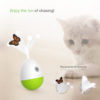PetGeek Laser Chaser