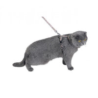 Kilt Cat Harness & Lead - XS