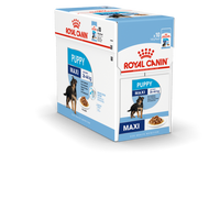 Royal Canin Wet Food - Maxi Puppy