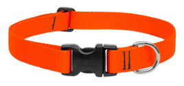 Orange Collar