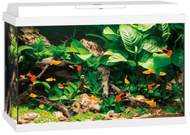 Primo 70 LED - White