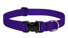 PURPLE Collar