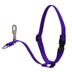 No Pull Harness Purple