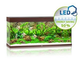 Rio 240 LED - Dark Wood