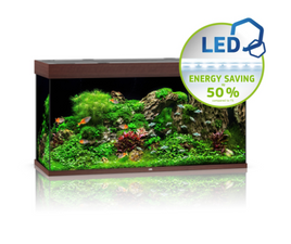 RIO 350 LED - Dark Wood