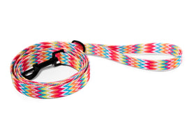 Pickles Summer Vibes Leash