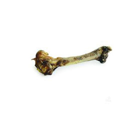 Zeal Dried Whole Venison Shanks 550Gmsfull Bone